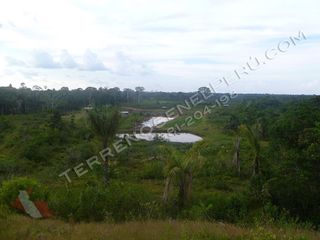 Foto 2 de Terreno en Loreto de 750 Has – Ideal para EcoTurismo