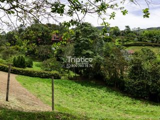 Foto 11 de Súper lote en venta en la Tablacita, la Estrella, por la Variante a Caldas.