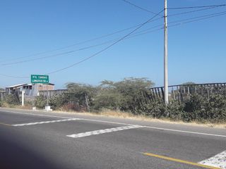 Foto 18 de Terreno Frente Al Mar- Playa Punta Canoas -Tumbes