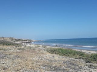 Foto 3 de Terreno Frente Al Mar- Playa Punta Canoas -Tumbes