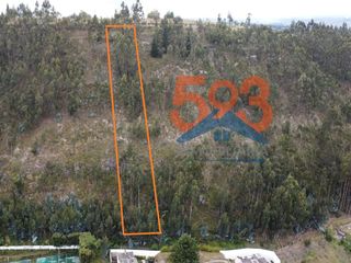 Foto 3 de Terreno de Venta en Latacunga