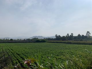 Foto 1 de LINDO TERRENO.EN CARRETERA HUARAL AUCAYAMA