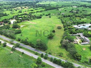 Foto 6 de LOTE EN VENTA UBICADO EN EL K19 VIA PLANETA RICA CORDOVA
