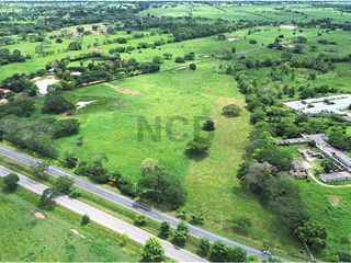 Foto 2 de LOTE EN VENTA UBICADO EN EL K19 VIA PLANETA RICA CORDOVA