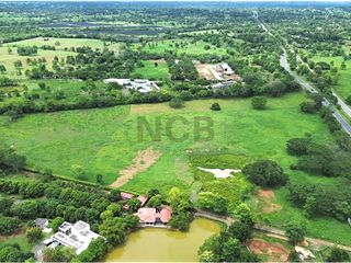 Foto 5 de LOTE EN VENTA UBICADO EN EL K19 VIA PLANETA RICA CORDOVA