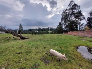 Foto 3 de Hermoso Terreno de Oportunidad