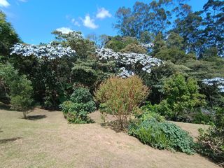 Foto 8 de One Of A Kind Mediterranean Style Home In Countryside of Tablazo, Rionegro