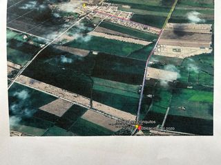 Foto 6 de VENDO PREDIO EN EL CARMEN, CHINCHA, A 2KM DE LA HACIENDA SAN JOSÉ