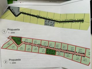Foto 5 de VENDO PREDIO EN EL CARMEN, CHINCHA, A 2KM DE LA HACIENDA SAN JOSÉ