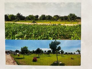 Foto 3 de VENDO PREDIO EN EL CARMEN, CHINCHA, A 2KM DE LA HACIENDA SAN JOSÉ