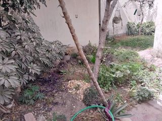 Foto 7 de ALQUILER LOCAL CHOSICA ZONA COMERCIAL CENTRICA 225M2