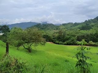 Foto 3 de TERRENO/LOTE EN VENTA, VILLETA CUNDINAMARCA.