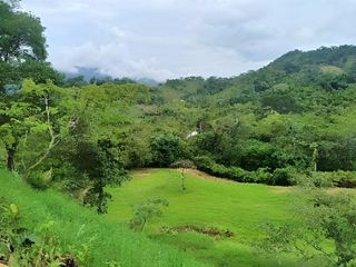 Foto 1 de TERRENO/LOTE EN VENTA, VILLETA CUNDINAMARCA.