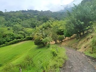 Foto 4 de TERRENO/LOTE EN VENTA, VILLETA CUNDINAMARCA.
