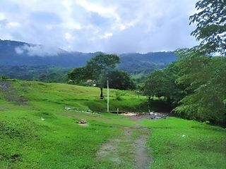 Foto 5 de TERRENO/LOTE EN VENTA, VILLETA CUNDINAMARCA.