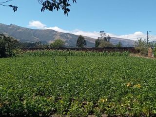 Vendo terreno en Tababela, Quito