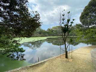 FINCA EN VENTA DE 2 HECTAREAS ÁREA URBANA ENTRE EL BARRIO LOS ALPES-13 DE JUNIO, CARTAGENA