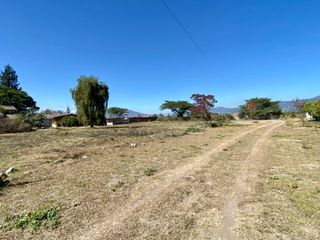 Vendo 4 últimos  terrenos en Puembo a $140 c/m2 (ubicación privilegiada)