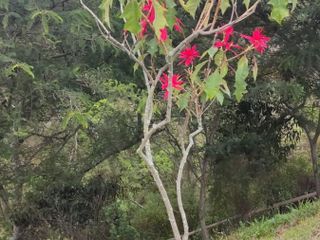 TERRENO EN VENTA URBANIZACIÓN PRIVADA SECTOR HACIENDA NAPOLES PUEMBO QUITO ECUADOR