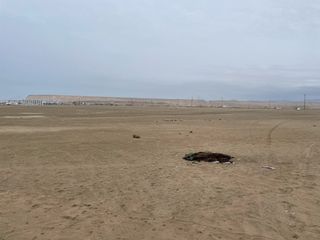 Foto 19 de Venta de Terreno con potencial de desarrollo Distrito de Asia Km 108
