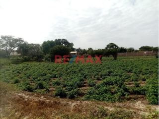 Foto 7 de Vendo 14116 M2 De Terreno A Espaldas De La Posgrado Ucv C.Delgado