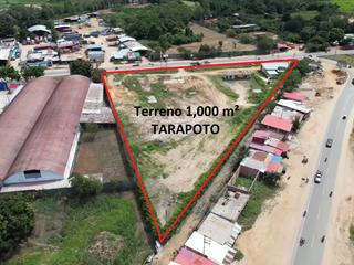 Foto 9 de VENDO / ALQUILO TERRENO 1.0 HA EN VIA DE EVITAMIENTO, TARAPOTO - PERÚ