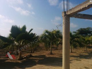 Terreno de Playa en Los Pinos, Zorritos de 27,000 m2