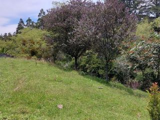 Foto 3 de Hermoso Terreno Independiente - Sector La Merced/ La Cocha