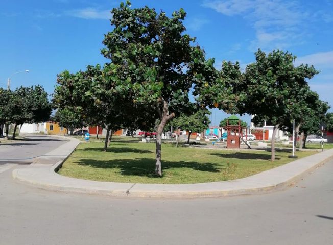 place photo 23
