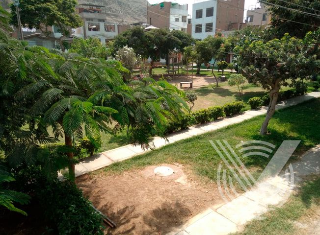 place photo 24