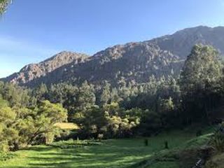 Foto 7 de 