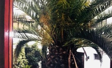 place photo 30