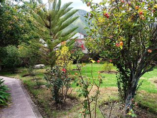 Foto 6 de VENDO LINDA CASA VALLE SAGRADO URUBAMBA CUSCO!