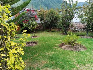Foto 3 de VENDO LINDA CASA VALLE SAGRADO URUBAMBA CUSCO!