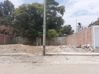 ID Lote en Venta 125 m² 1era E Las Palmeras Centenario S/89 Mil Hflores
