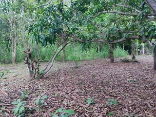 Foto 11 de VENDO TERRENO URBANO 2,908 M² MORALES TARAPOTO