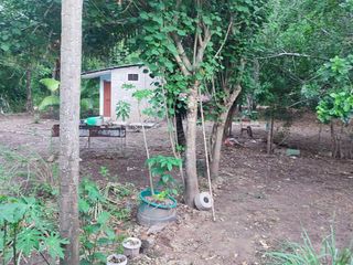 Foto 12 de VENDO TERRENO URBANO 2,908 M² MORALES TARAPOTO