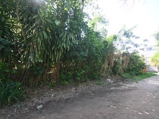 Foto 19 de VENDO TERRENO URBANO 2,908 M² MORALES TARAPOTO
