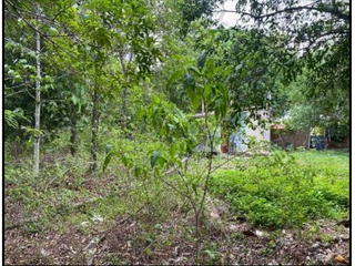 Foto 9 de VENDO TERRENO URBANO 2,908 M² MORALES TARAPOTO