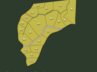 Lotes campestres de 2.000 m2, sector aeropuerto, tunel de oriente, rionegro llanogrande. Lotes con Bosque, quebrada, nacimiento y vista. Escrituras 100%, con licencia de construccion