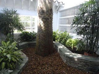 Foto 6 de VENDO FINCA EN SANTA FE DE ANTIOQUIA A 1 KM DEL PUEBLO