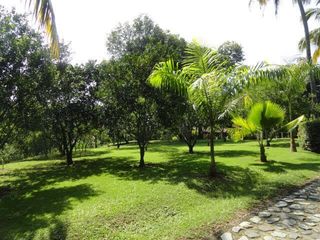 Foto 8 de VENDO FINCA EN SANTA FE DE ANTIOQUIA A 1 KM DEL PUEBLO