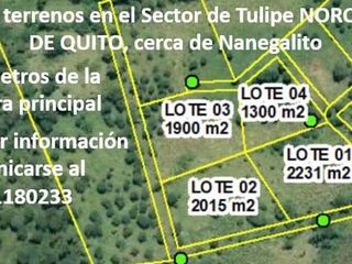 En TULIPE, vendo lotes de terreno para quintas vacacionales, entre 1300 y 2231m2