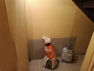 Foto 7 de APARTAMENTO CHAPINERO