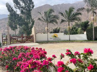 Foto 15 de VENTA DE LOTE DE 297M2 EN CONDOMINIO LAS PRADERAS SANTA ROSA DE QUIVES