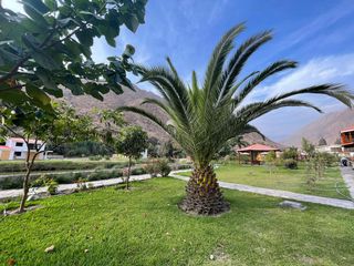 Foto 3 de VENTA DE LOTE DE 297M2 EN CONDOMINIO LAS PRADERAS SANTA ROSA DE QUIVES