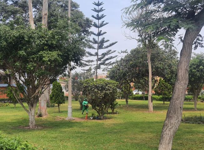 place photo 46