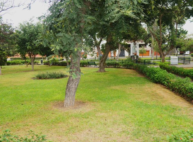 place photo 43