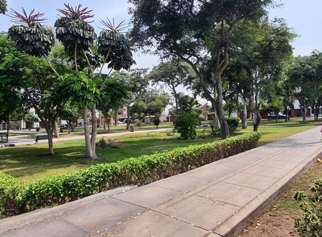 place photo 47