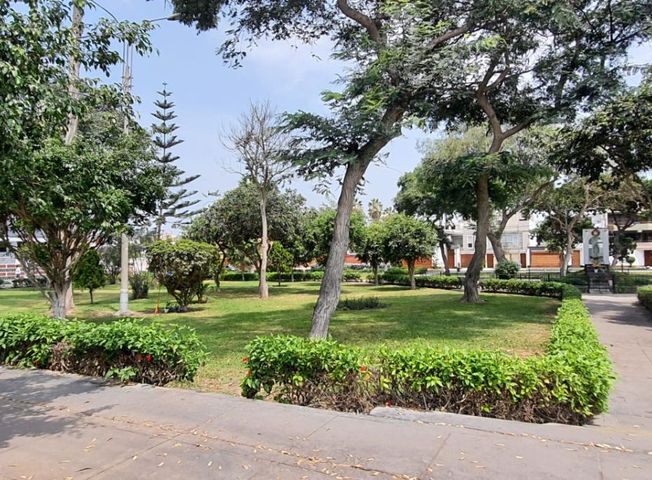 place photo 42